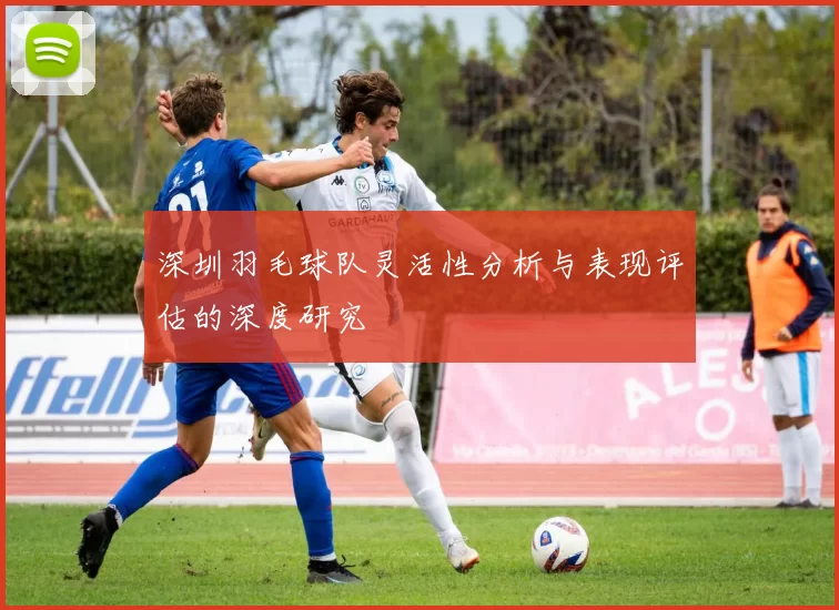 深圳羽毛球队灵活性分析与表现评估的深度研究