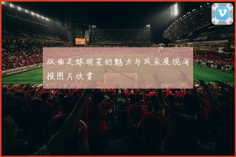 双面足球明星的魅力与风采展现海报图片欣赏