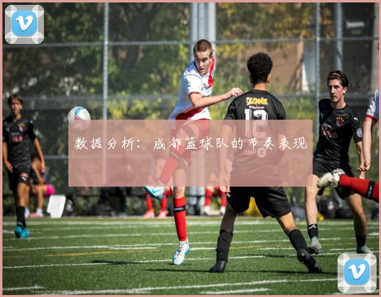 数据分析：成都篮球队的节奏表现