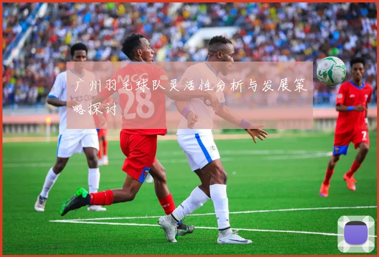 广州羽毛球队灵活性分析与发展策略探讨